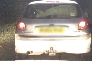 V yorkshire se ovce rozhodly chodit v mcdonalds